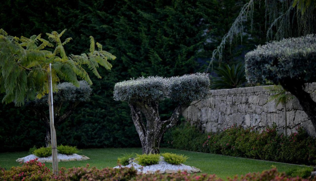 Casa Das Carpas Vizela Dış mekan fotoğraf